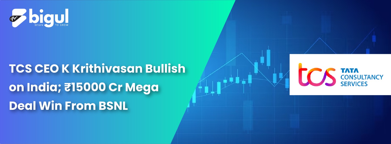 TCS CEO K Krithivasan Bullish on India; Rs 15000 Cr Mega Deal Win From BSNL